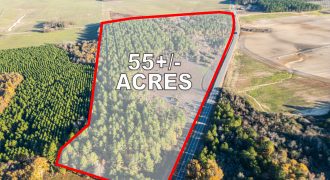 Pulaski 55+- Acres