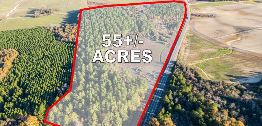 Pulaski 55+- Acres