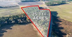 Pulaski 25+- Acres