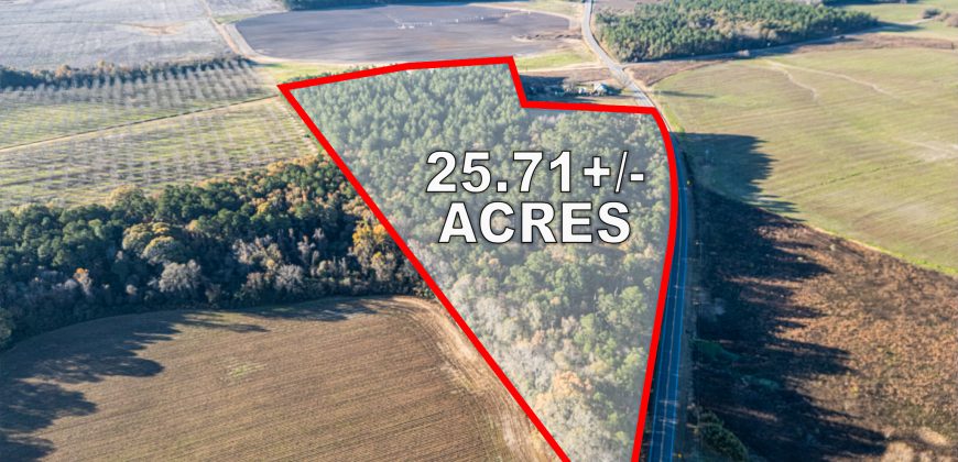 Pulaski 25+- Acres