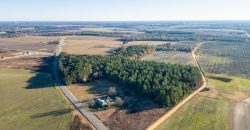 Pulaski 25+- Acres