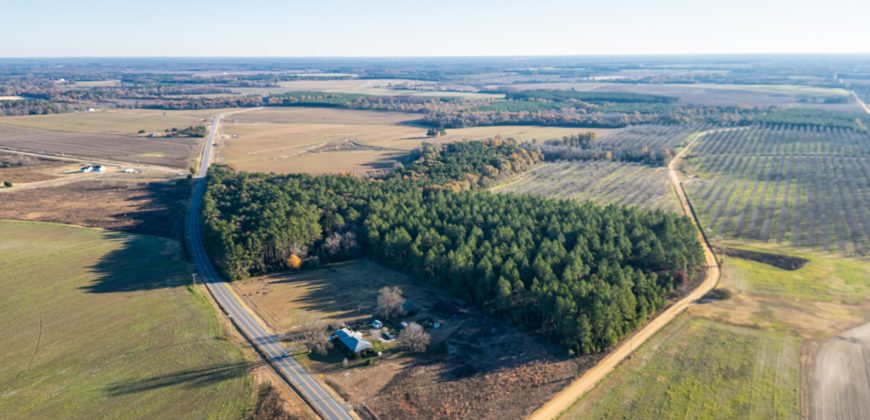 Pulaski 25+- Acres