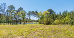 Houston County Rocky Branch Farm