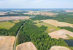 Ten Mile Creek Hunting Property