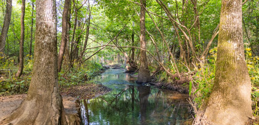 Ten Mile Creek Hunting Property