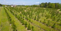 Pulaski County Bennett Farm