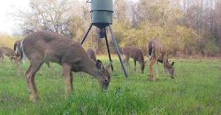 Ten Mile Creek Hunting Property