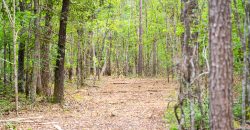 Sisters Church Creek Property