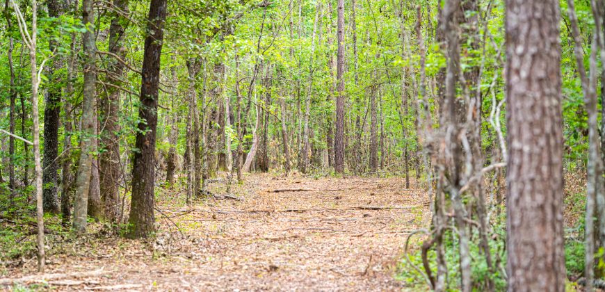 Sisters Church Creek Property