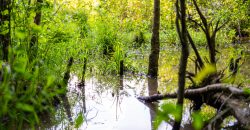 Sisters Church Creek Property