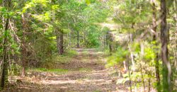 Sisters Church Creek Property