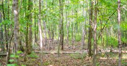 Sisters Church Creek Property