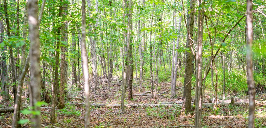 Sisters Church Creek Property