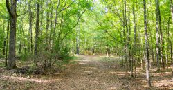 Sisters Church Creek Property