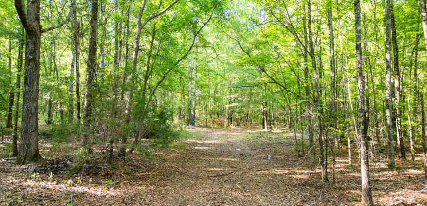 Sisters Church Creek Property