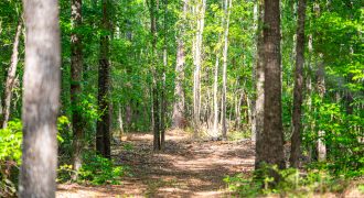 Sisters Church Creek Property