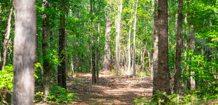 Sisters Church Creek Property