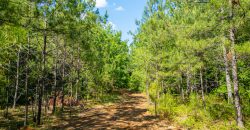 Sisters Church Creek Property
