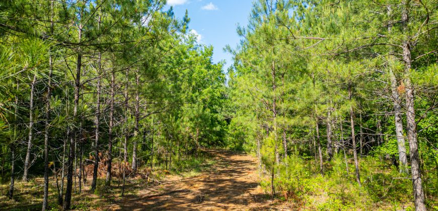 Sisters Church Creek Property