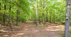 Sisters Church Creek Property