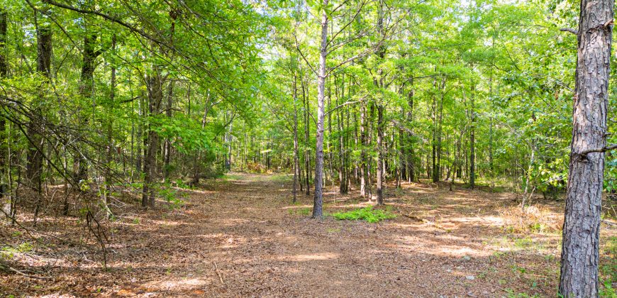 Sisters Church Creek Property