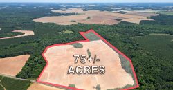 Jalappa Creek Farm Dooly County