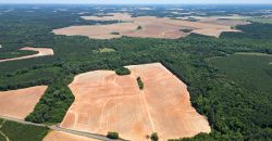 Jalappa Creek Farm Dooly County