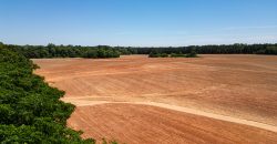 Jalappa Creek Farm Dooly County