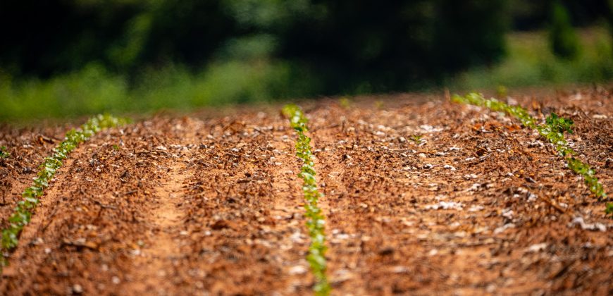 Jalappa Creek Farm Dooly County