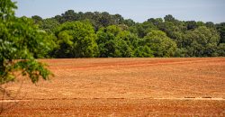 Jalappa Creek Farm Dooly County