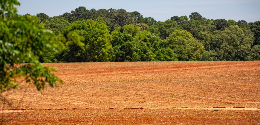 Jalappa Creek Farm Dooly County