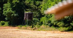 Jalappa Creek Farm Dooly County