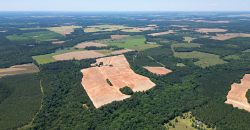 Jalappa Creek Farm Dooly County