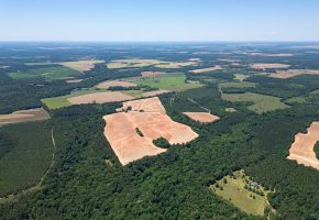Jalappa Creek Farm Dooly County