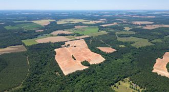Jalappa Creek Farm Dooly County