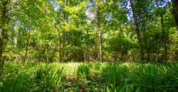 Jalappa Creek Farm Dooly County