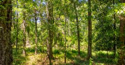 Jalappa Creek Farm Dooly County