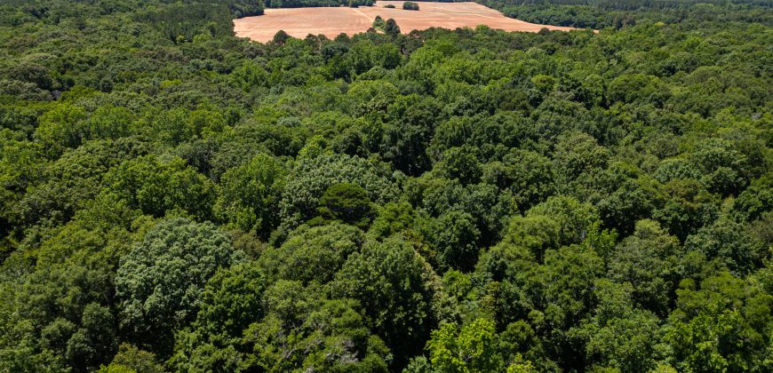 Jalappa Creek Farm Dooly County