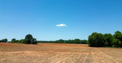 Jalappa Creek Farm Dooly County