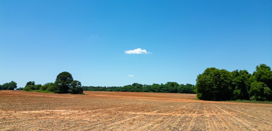 Jalappa Creek Farm Dooly County