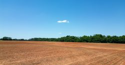 Jalappa Creek Farm Dooly County