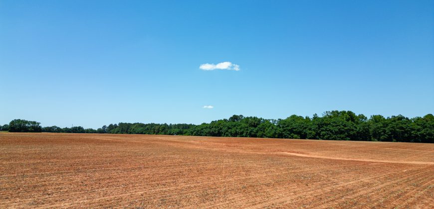 Jalappa Creek Farm Dooly County
