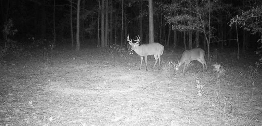 Sisters Church Creek Property