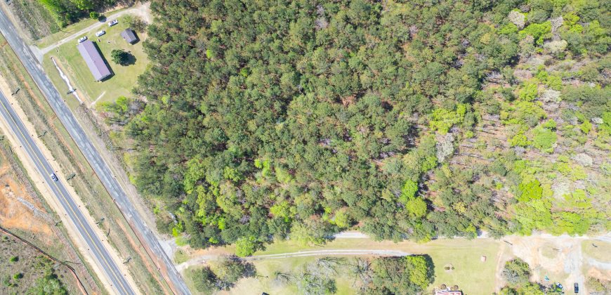 Wooded 3+/- Acre Homesite