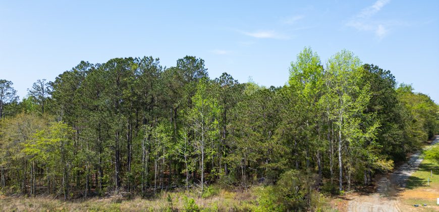 Wooded 3+/- Acre Homesite