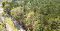 Wooded 3+/- Acre Homesite