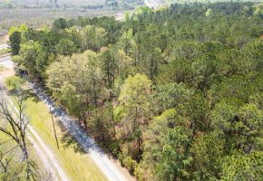 Wooded 3+/- Acre Homesite