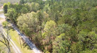 Wooded 3+/- Acre Homesite