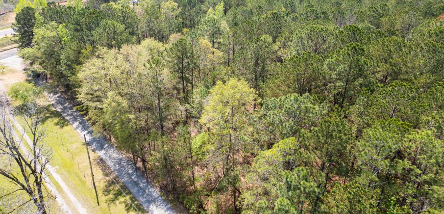 Wooded 3+/- Acre Homesite
