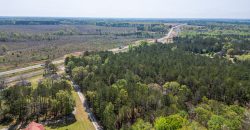 Wooded 3+/- Acre Homesite